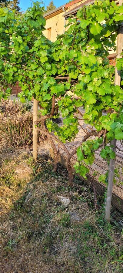 La Boissiere, Le Domaine De Brugal Ξενοδοχείο Carsac-Aillac Εξωτερικό φωτογραφία